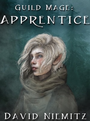 Cover of Guild Mage: Apprentice