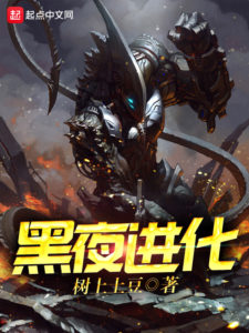 Cover of Night Evolution
